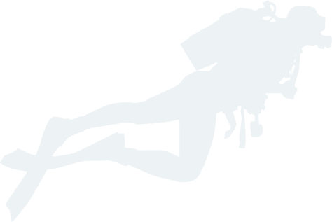 bwin必赢官网